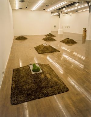 Basserode, *Espace naturel sonore* (1987), vue d’installation, *Le Magasin L’École L’Exposition*, du 1e octobre au 26 novembre 1989.