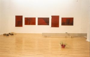 Vue de l’exposition *Des histoires en forme*. Sur l’image : série de photographies d’Alessandra Tesi. Photo&thinsp;: Pascal Jounenc